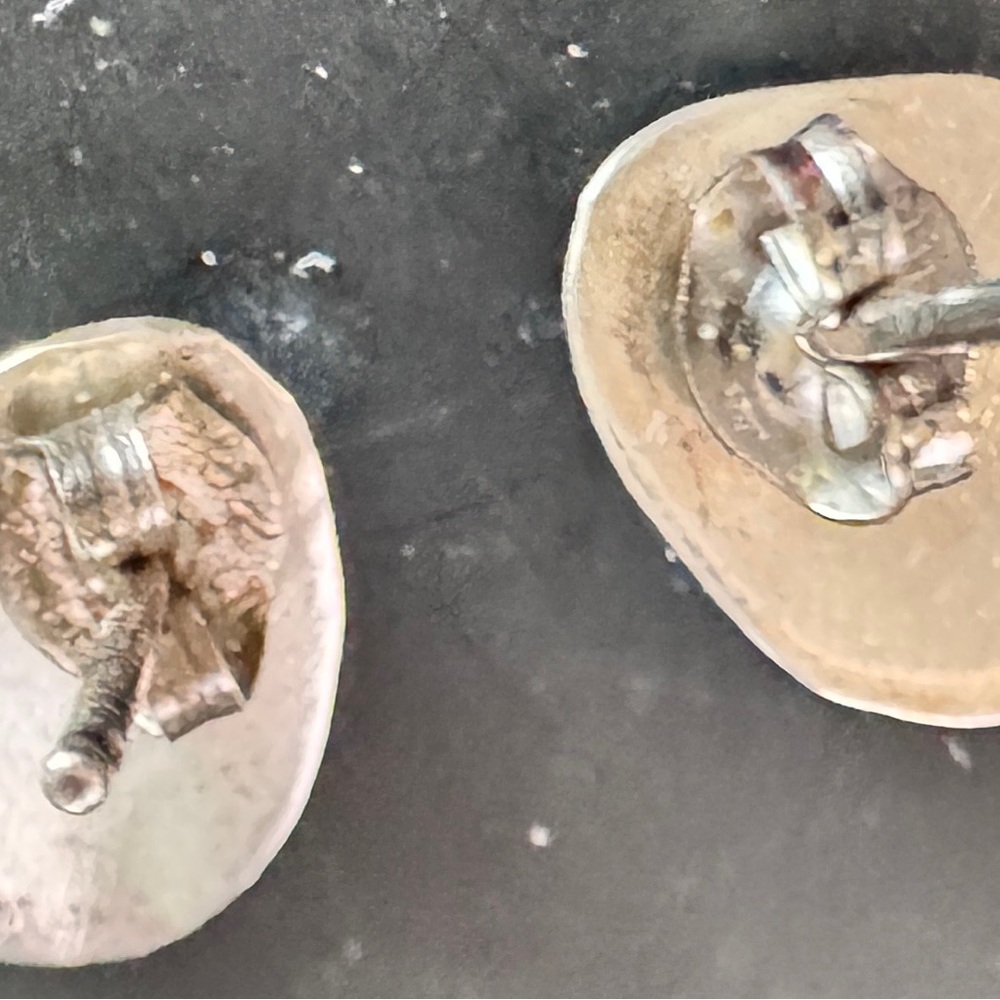 Tiny Genuine Turquoise Bear Claw Post Earrings - image 5